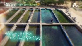 국내 최초 송어 양식장에 가다! 송어 양식의 발상지에서 만난 착한 어부