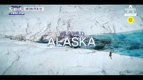 인간 그리고 대자연 'ALASKA'