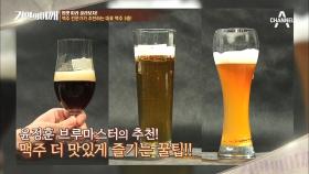 애주가 집중 @.@ 맥주 마스터가 추천하는 [대표 맥주 3종 & 맥주잔 선택법]