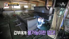 [선공개] 연 매출 8억 원의 비밀은 8mm?