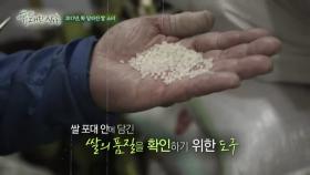 쌀 품종이 무려 100가지?!