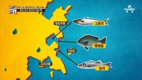 ‘거제는 내 안방’ 바다 위 내비게이션 귀철씨의 특급 낚시 포인트 대공개!