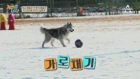 '축구대결' 핸들링(ㅋㅋ) 에이스 뚜이 vs 노룩수비 코카X제로(with 빨간 거미)