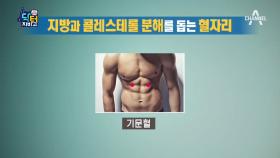 지방과 콜레스테롤 분해를 돕는 ★혈자리 공개