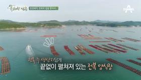 전복의 고장, 청정바다 완도를 가다