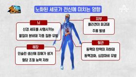 내가 같은 나이에 비해 늙어 보이는 이유, 세포의 노화!