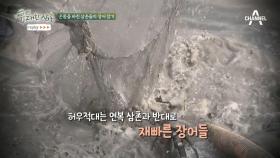 온 몸을 바친 이연복&강레오의 장어 잡기! 예능 신이 강림하다?