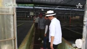 전복 양식은 어떻게 할까?