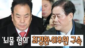 '뇌물 혐의' 최경환 · 이우현 의원 구속