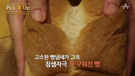 소화 안되는 빵 이제 그만~ 쌀이 빵을 만났을 때