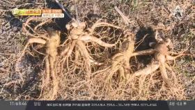 농식품 경쟁력! 브랜드로 키운다?