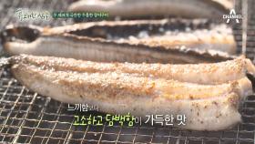갯벌 장어 양식장에서 먹는 꿀맛 장어 소금구이!