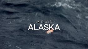 도시어부: WILD WILD ALASKA 첫 번째 이야기