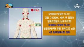 'Y존'림프절이 독소배출에 중요한 이유는?!