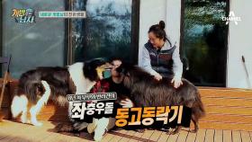 (NEW) 개밥男女가 떴다! 김민교네 식구를 소개합니다! #5犬 #작명센스ㅋㅋ