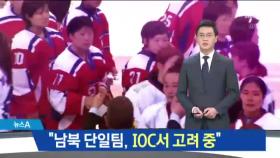 “남북 단일팀, IOC서 고려 중”…27년 만의 탄생?