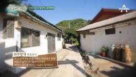 고등어 마을! 통영 욕지도 자부마을을 가다!