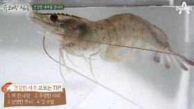 #꿀팁 건강한 새우는 나야 나! PICK ME!