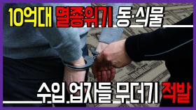 10억대 멸종위기 동·식물 수입 업자들 무더기 적발