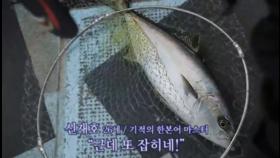 이번엔 '리얼'벵에돔이 확실합니다! 긴꼬리[메지나]찾아 삼만리 #상상암에_이은_상상입질?