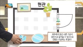 재물운 높이는 '현관인테리어' 꿀팁! 건강까지 챙길 수 있다는데...