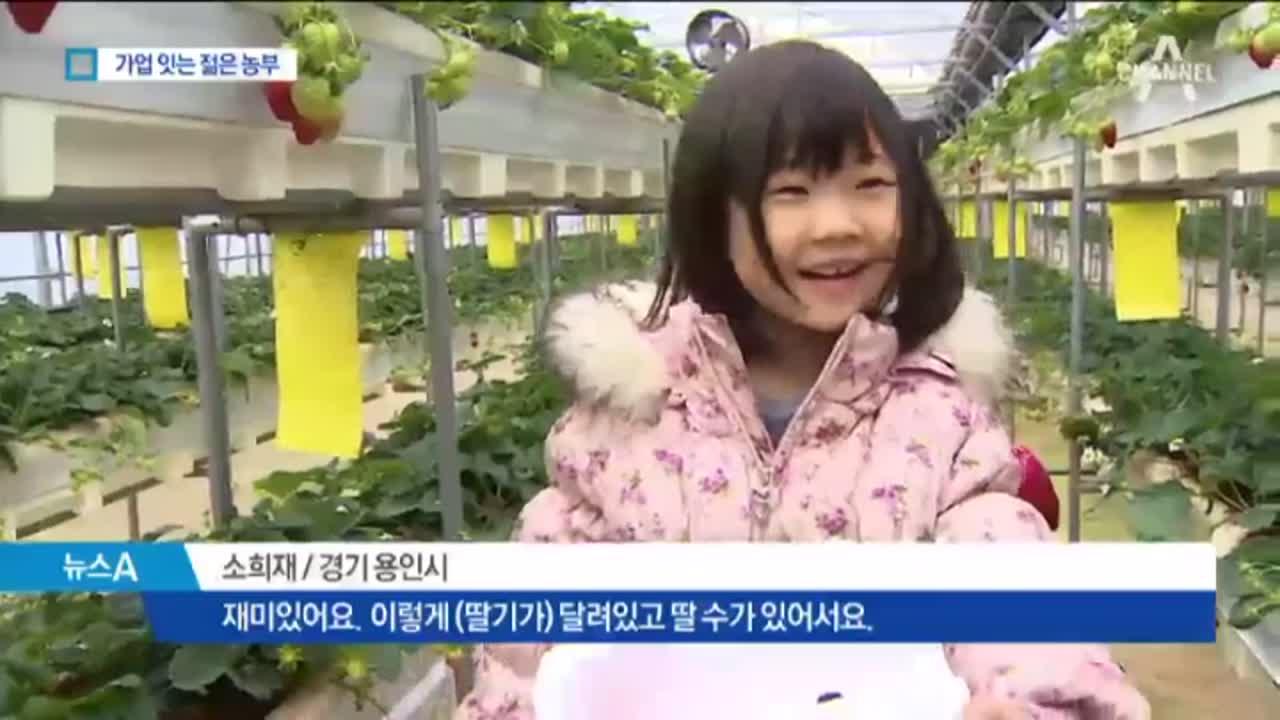 팍팍한 도시 대신…가업 잇는 젊은 농부 뜬다 | ZUM TV
