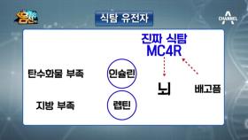 가짜 식탐 유전자 MC4R에 주목하라! 진짜,가짜 식탐이란?