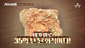 (충격) 문경수 탐험대장이 찾은 보-물☆ '35억년 전 화석' 大 공개!!