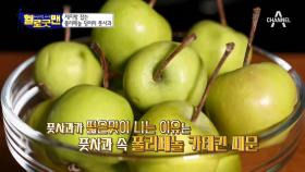 굿맨이 사랑한 음식 ‘풋사과’! 체지방 잡는 폴리페놀 덩어리!?