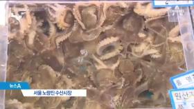 ‘알배기 주꾸미’ 못 잡는다…5~8월 어획 땐 처벌