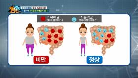 우리 몸속 세포의 수는 약 천 조개?! 내 몸속 유익균과 유해균!