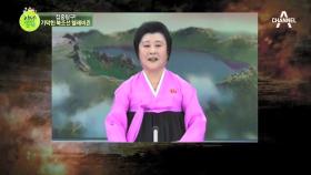북한 아나운서들의 워너비, ‘핑크레이디’ 리춘희! 그녀가 뜨면 전세계가 발칵!?