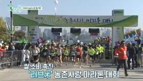 철인 3종경기와 마라톤 등 다양한 대회 열려