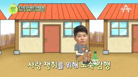 북한 지방 남자들은 고백할 때 여자 집 앞에서 노숙을 한다?!