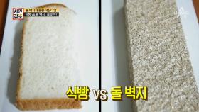 [선공개] 물을 마시는 돌 벽지가 나타났다!!