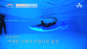 (반전) 프리다이빙 레슨에 앞서 선보이는 멤버들의 수영 실력!