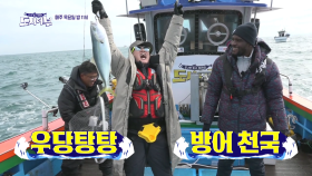 [다음이야기] 왔다! 제주 방어! 제주도 대방어의 엄청난 괴력