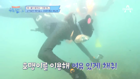 고내리 2차전! 워터걸스 해녀 선배님들 앞에서 실력을 뽐내보는데?! (두근)