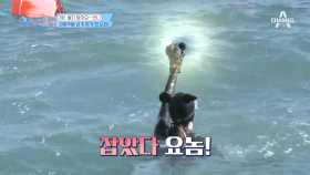 워터걸스 물질, 첫 도전은 