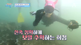 일취월장 워터걸스, 