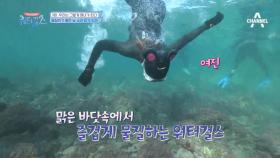 물질하기 딱 좋은 날씨네♥ 닥치고 소라 많이 잡기 미션!