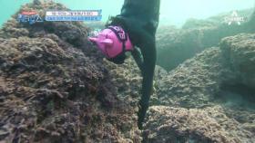 ♨불타오르네♨ 누가누가 많이 잡나? 워터걸스 폭풍 소라잡이 현장