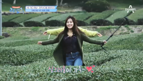워터걸스 X 줄리엔 강, 제주도 녹차밭으로 힐링여행 GO GO~!
