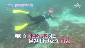 에이스 최여진 VS 다크호스 김희정, 고내리 물질 승자는?