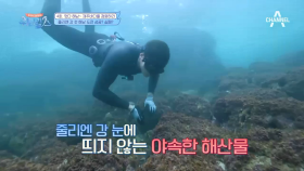 워터걸스를 위협하는 해남 줄리엔 강! 과연 첫 물질, 성공? 실패?