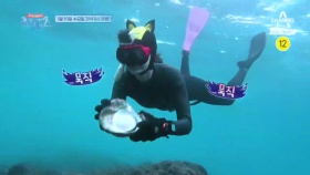 [예고] 워터걸스 마지막 미션! 선조 해녀들의 발자취를 추적하라