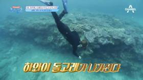 오키나와 바다의 매력에 