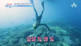 위기의 최여진, 깊은 오키나와 바닷속을 거침없이 들어가보는데..!