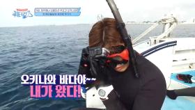 오키나와 물질에 나선 