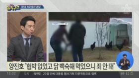 [핫플]양진호 “닭 백숙해 먹었으니 죄 안 돼”